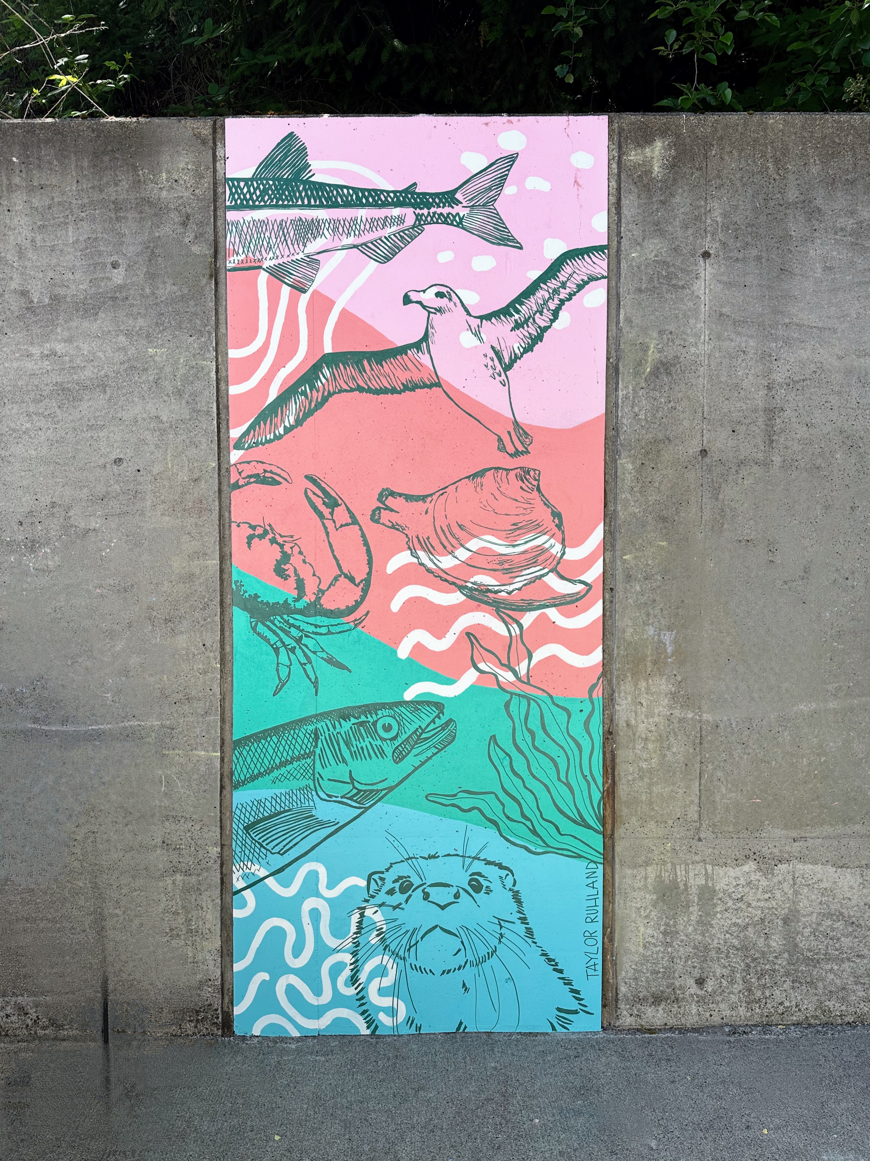 Tides and Tributaries mural at Nisqually Reach Nature Center featuring aquatic wildlife and water themes